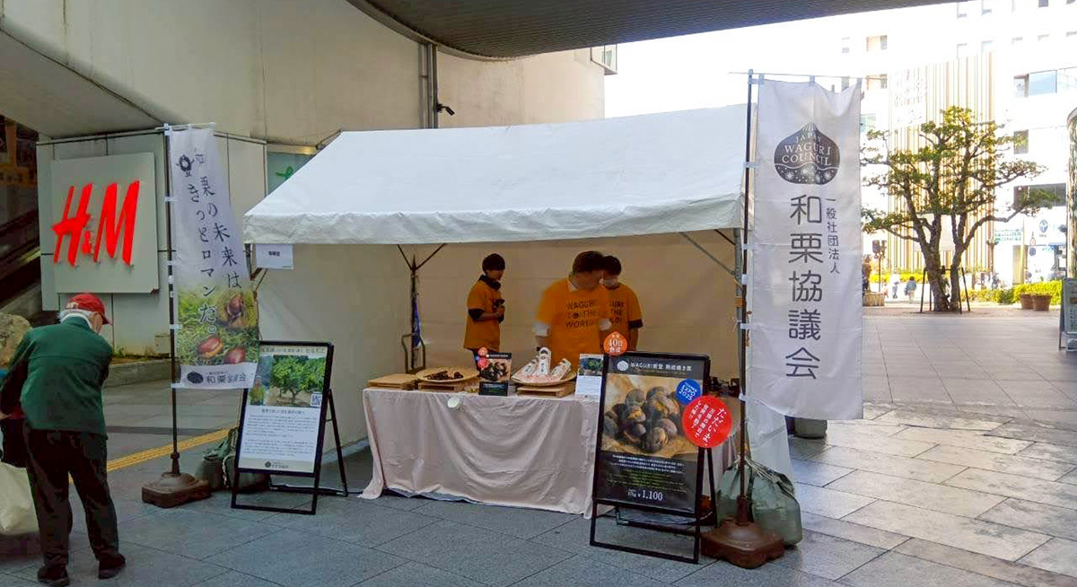 2026 浜松未来フェスティバル